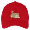 Five Panel Twill Cap Thumbnail