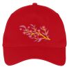Five Panel Twill Cap Thumbnail