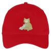 Five Panel Twill Cap Thumbnail