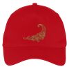 Five Panel Twill Cap Thumbnail