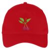 Five Panel Twill Cap Thumbnail
