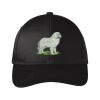 Snapback Fine Twill Cap Thumbnail