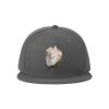 Standard Fit Flat Bill Snapback Cap Thumbnail