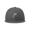 Standard Fit Flat Bill Snapback Cap Thumbnail