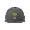 Standard Fit Flat Bill Snapback Cap Thumbnail