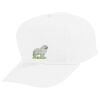 Youth Five-Panel Cotton Twill Cap Thumbnail