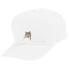 Youth Five-Panel Cotton Twill Cap Thumbnail