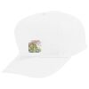 Youth Five-Panel Cotton Twill Cap Thumbnail