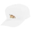 Youth Five-Panel Cotton Twill Cap Thumbnail