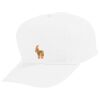 Youth Five-Panel Cotton Twill Cap Thumbnail