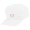 Youth Five-Panel Cotton Twill Cap Thumbnail