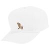Youth Five-Panel Cotton Twill Cap Thumbnail
