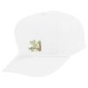 Youth Five-Panel Cotton Twill Cap Thumbnail