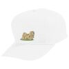 Youth Five-Panel Cotton Twill Cap Thumbnail