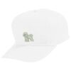 Youth Five-Panel Cotton Twill Cap Thumbnail