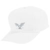 Youth Five-Panel Cotton Twill Cap Thumbnail