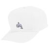 Youth Five-Panel Cotton Twill Cap Thumbnail