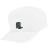 Youth Five-Panel Cotton Twill Cap Thumbnail