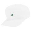 Youth Five-Panel Cotton Twill Cap Thumbnail