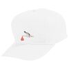 Youth Five-Panel Cotton Twill Cap Thumbnail