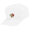 Youth Five-Panel Cotton Twill Cap Thumbnail