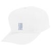 Youth Five-Panel Cotton Twill Cap Thumbnail