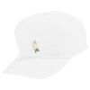 Youth Five-Panel Cotton Twill Cap Thumbnail