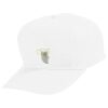Youth Five-Panel Cotton Twill Cap Thumbnail