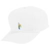Youth Five-Panel Cotton Twill Cap Thumbnail