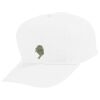 Youth Five-Panel Cotton Twill Cap Thumbnail