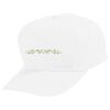 Youth Five-Panel Cotton Twill Cap Thumbnail