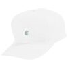Youth Five-Panel Cotton Twill Cap Thumbnail