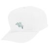Youth Five-Panel Cotton Twill Cap Thumbnail