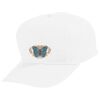 Youth Five-Panel Cotton Twill Cap Thumbnail