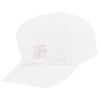 Youth Five-Panel Cotton Twill Cap Thumbnail