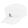 Youth Five-Panel Cotton Twill Cap Thumbnail
