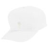 Youth Five-Panel Cotton Twill Cap Thumbnail