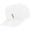 Youth Five-Panel Cotton Twill Cap Thumbnail