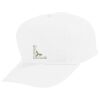 Youth Five-Panel Cotton Twill Cap Thumbnail