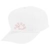 Youth Five-Panel Cotton Twill Cap Thumbnail