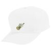 Youth Five-Panel Cotton Twill Cap Thumbnail
