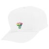 Youth Five-Panel Cotton Twill Cap Thumbnail