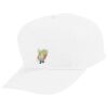 Youth Five-Panel Cotton Twill Cap Thumbnail