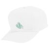 Youth Five-Panel Cotton Twill Cap Thumbnail
