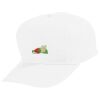 Youth Five-Panel Cotton Twill Cap Thumbnail