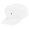 Youth Five-Panel Cotton Twill Cap Thumbnail