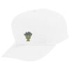 Youth Five-Panel Cotton Twill Cap Thumbnail