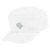 Youth Five-Panel Cotton Twill Cap Thumbnail