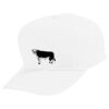 Youth Five-Panel Cotton Twill Cap Thumbnail