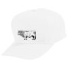 Youth Five-Panel Cotton Twill Cap Thumbnail